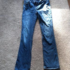 American Eagle Bootcut Jeans Size 2 Long